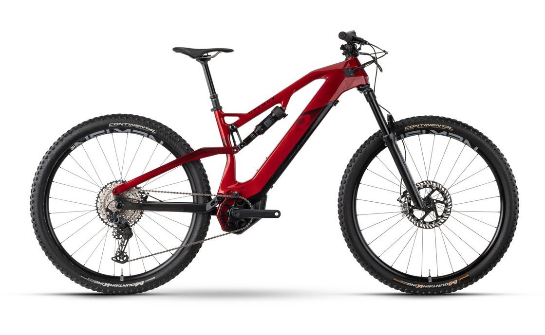 Raymon AirRay 10.0 - 500 Wh - 29 Zoll - Fully