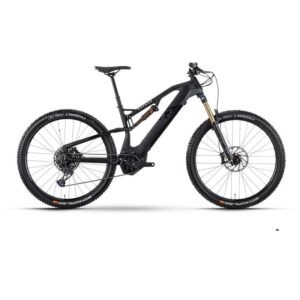 Raymon FullRay 150E 11.0 - 630 Wh - 2024 - 29 Zoll - Fully