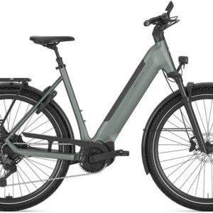 Gazelle Ultimate T11 Low-Step